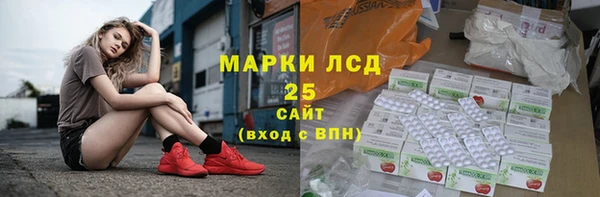 гидра Горнозаводск