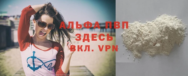 ECSTASY Горняк