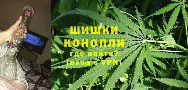 гидра Горнозаводск