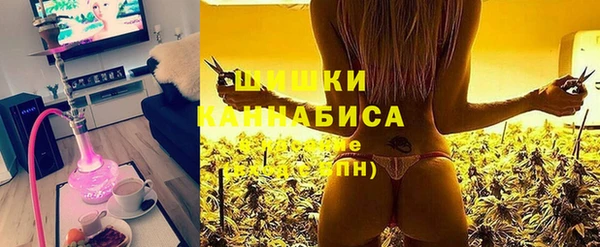 ECSTASY Горняк