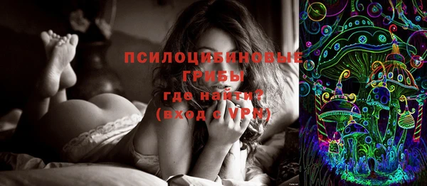 ECSTASY Горняк