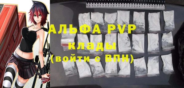 ECSTASY Горняк