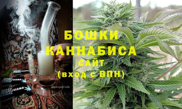 гидра Горнозаводск