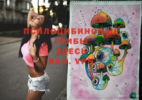 ECSTASY Горняк
