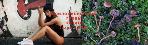 гидра Горнозаводск