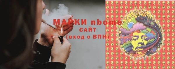 шишки Гусиноозёрск