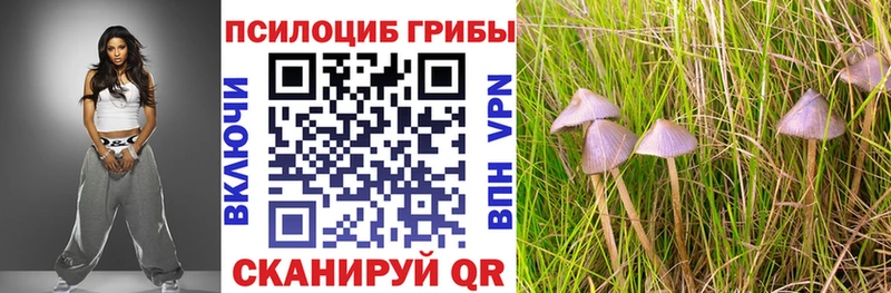 Купить  Рудня  Галлюциногенные грибы GOLDEN TEACHER 
