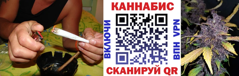 Купить закладки Рудня Бошки марихуана семена